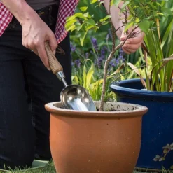 Best Seller -Westland || KOOPMAN || Felco Shop 1002024 1