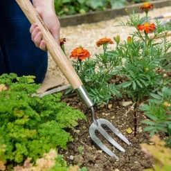 Best Seller -Westland || KOOPMAN || Felco Shop 1031064 1