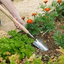 Best Seller -Westland || KOOPMAN || Felco Shop 1031065 1