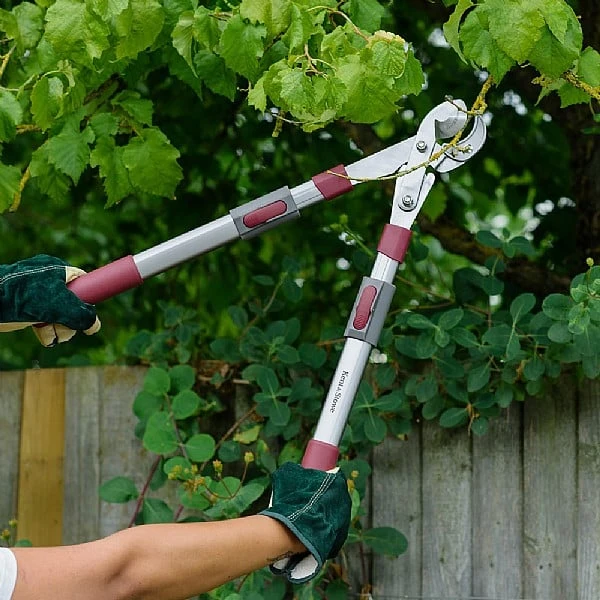 Kent & Stowe Telescopic Geared Anvil Loppers 2 Kent & Stowe Telescopic Geared Anvil Loppers - Image 2