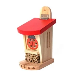 Wildlife World Live Ladybird Lodge