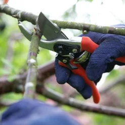 Wilkinson Sword Folding Pruner Saw & Pruner Set 6 Wilkinson Sword Folding Pruner Saw & Pruner Set -Westland || KOOPMAN || Felco Shop 1140375 2