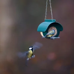 Jacobi Jayne Flutter Butter DeLuxe Feeder (For Pods Or Jars) -Westland || KOOPMAN || Felco Shop 1153038 3