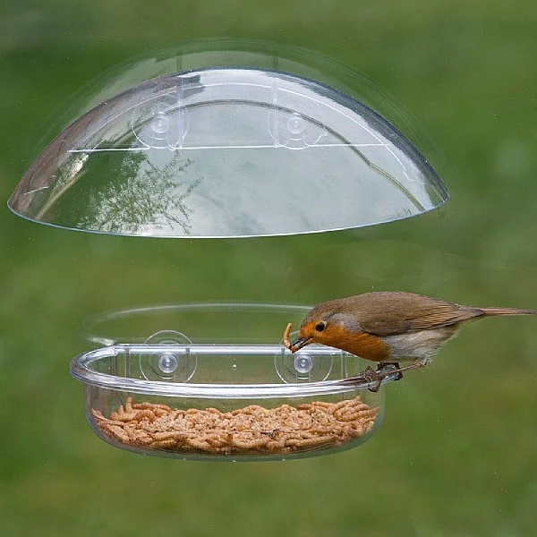 Jacobi Jayne I Love Robins Window Feeder 2 Jacobi Jayne I Love Robins Window Feeder - Image 2