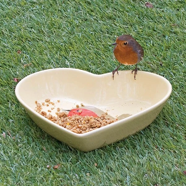 Jacobi Jayne Seed Tray 19cm 2 Jacobi Jayne Seed Tray 19cm - Image 2