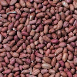 Henry Bell Peanuts For Wild Birds 4kg 7 Henry Bell Peanuts For Wild Birds 4kg -Westland || KOOPMAN || Felco Shop 1161343 1 1