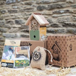 Wildlife World For The Love Of Bees Gift Pack