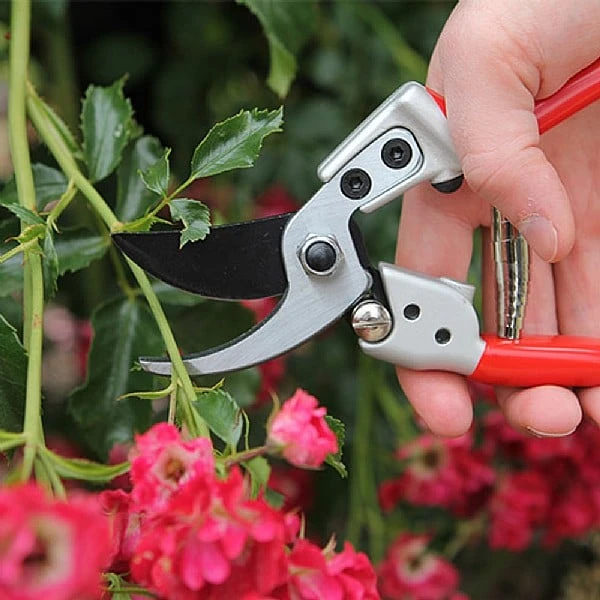 Darlac Expert Medium Bypass Pruner 2 Darlac Expert Medium Bypass Pruner - Image 2