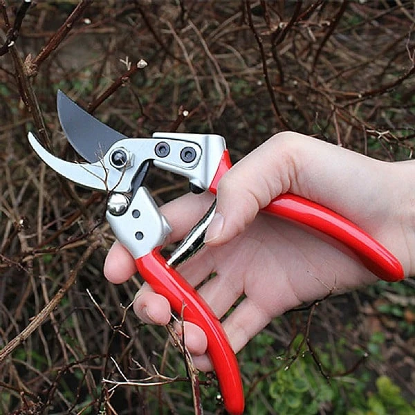 Darlac Expert Medium Bypass Pruner 4 Darlac Expert Medium Bypass Pruner - Image 4