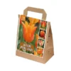 Tulipa Orange Shades (Bag Of 30)