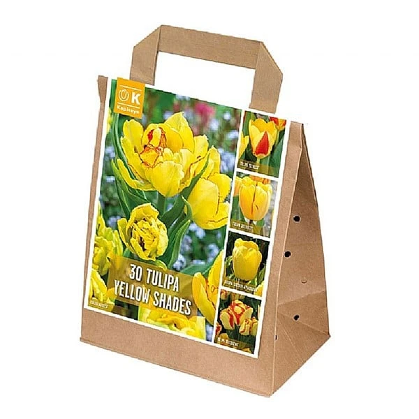 Tulipa Yellow Shades (Bag Of 30) 1 Tulipa Yellow Shades (Bag Of 30)