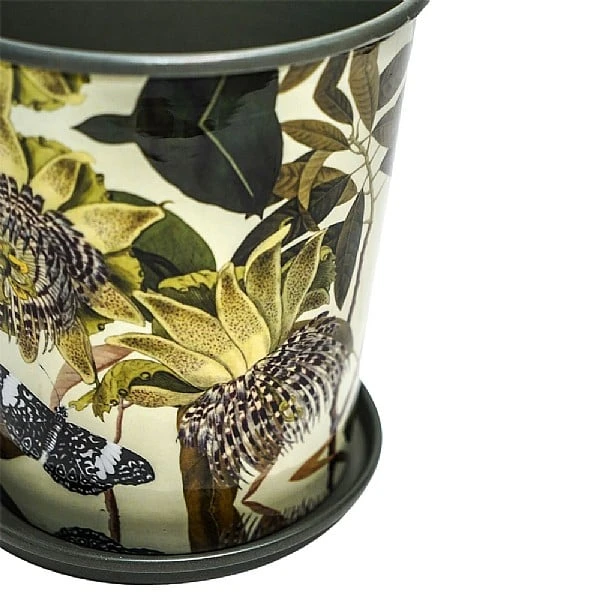 Kew Botanical Retreat Planter With Saucer 16cm 2 Kew Botanical Retreat Planter With Saucer 16cm - Image 2