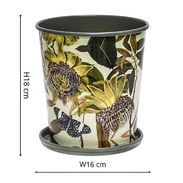 Kew Botanical Retreat Planter With Saucer 16cm 3 Kew Botanical Retreat Planter With Saucer 16cm - Image 3
