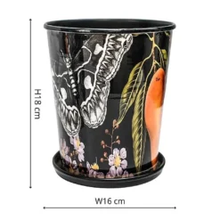 Kew Eclectic Orangery Planter With Saucer 16cm -Westland || KOOPMAN || Felco Shop 1227767 3