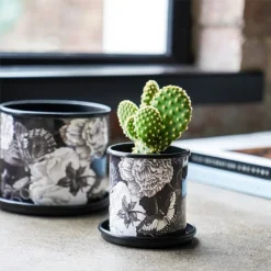 Kew Eclectic Orangery Noir Planter With Saucer 13cm -Westland || KOOPMAN || Felco Shop 1227769 4