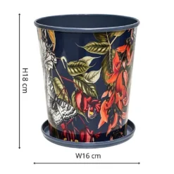 Kew Temperate House Planter With Saucer 16cm -Westland || KOOPMAN || Felco Shop 1227772 4