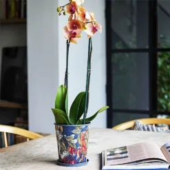 Kew Temperate House Planter With Saucer 16cm -Westland || KOOPMAN || Felco Shop 1227772 5