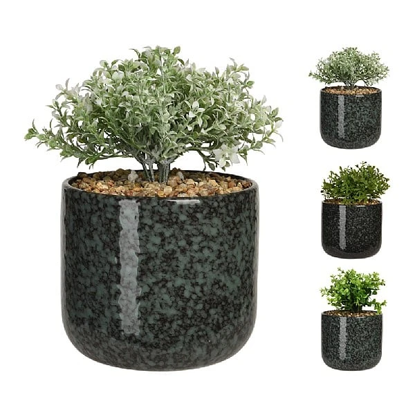 KOOPMAN Plant In Ceramic Pot 22cm (Assorted Designs) 1 KOOPMAN Plant In Ceramic Pot 22cm (Assorted Designs)