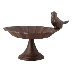 Fallen Fruits Bird Bath 1 Bird
