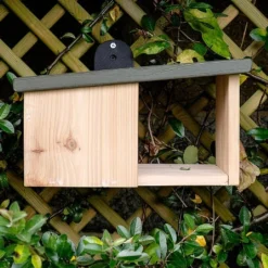 Wildlife World Wooden Robin Nest Box