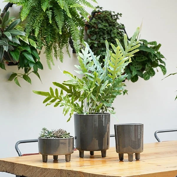 Ivyline Pisa Pot Cover Slate (Various Sizes) 2 Ivyline Pisa Pot Cover Slate (Various Sizes) - Image 2